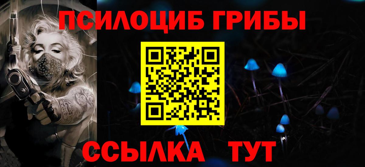 Псилоцибиновые грибы ЛСД  Вход с VPN  Славгород 